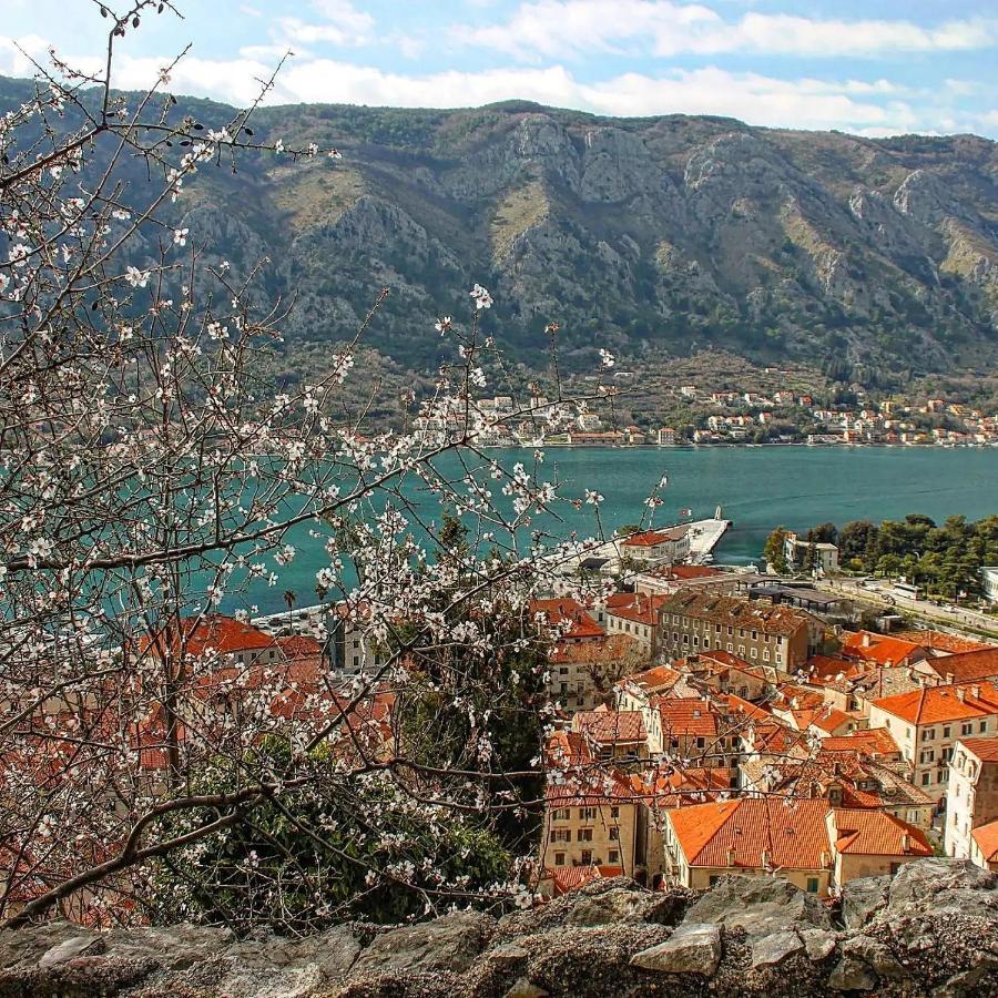 Old Town Boskovic Apartment Kotor Luaran gambar